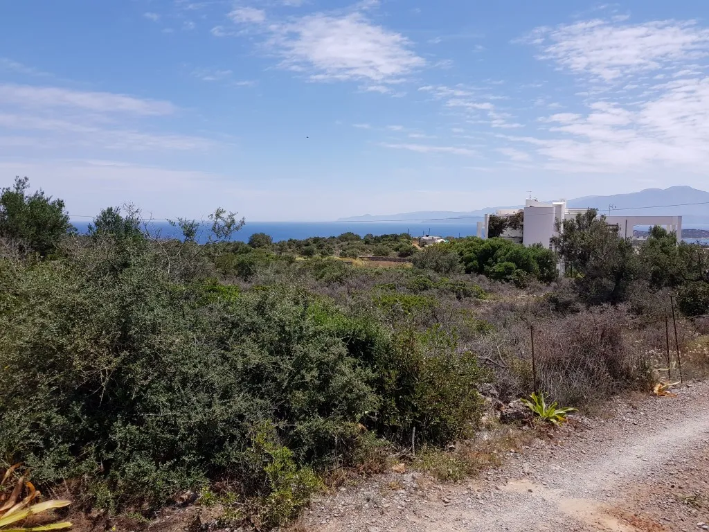 γη προς πώληση 2000 τ.μ Άγιος Νικόλαος Νομός Λασιθίου