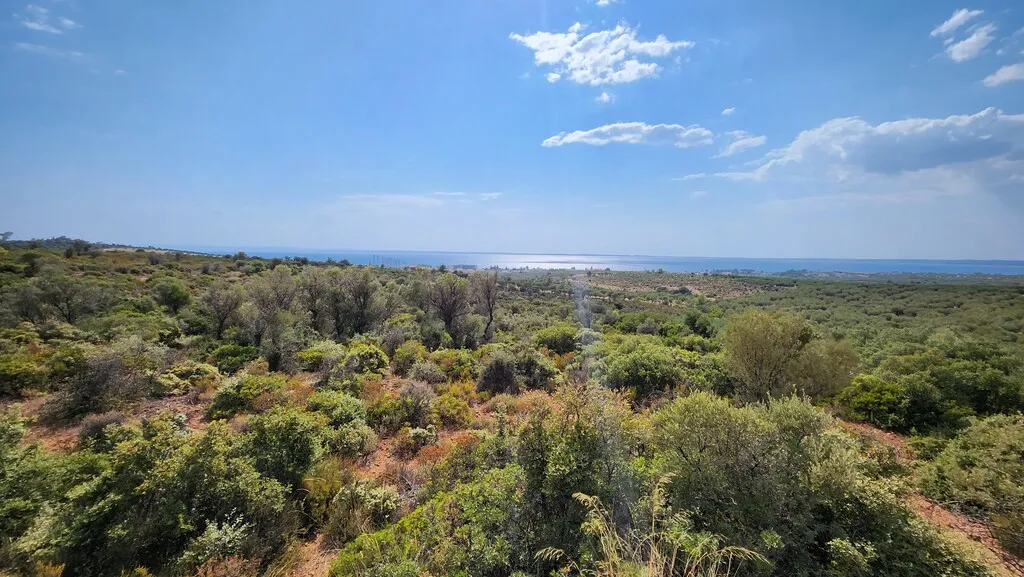 γη προς πώληση 37500 τ.μ Πολύγυρος Χαλκιδική