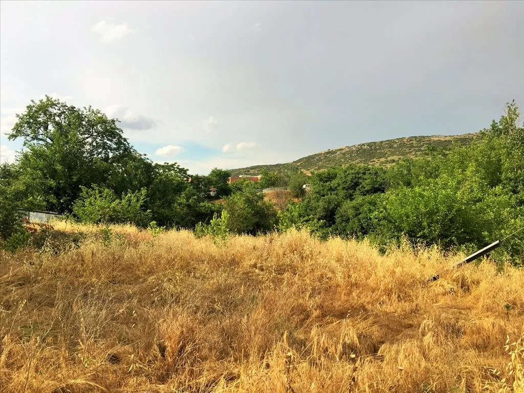 γη προς πώληση 8125 τ.μ Πολίχνη Προάστια Θεσσαλονίκης