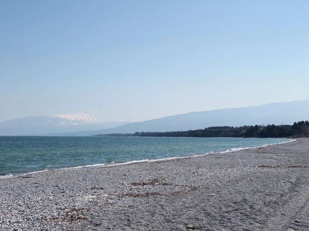 οικόπεδο προς πώληση 9280 τ.μ Λιτόχωρο Νομός Πιερίας