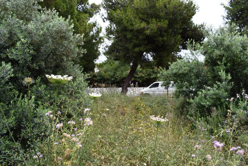 γη προς πώληση 392 τ.μ Χανιά Νομός Χανίων