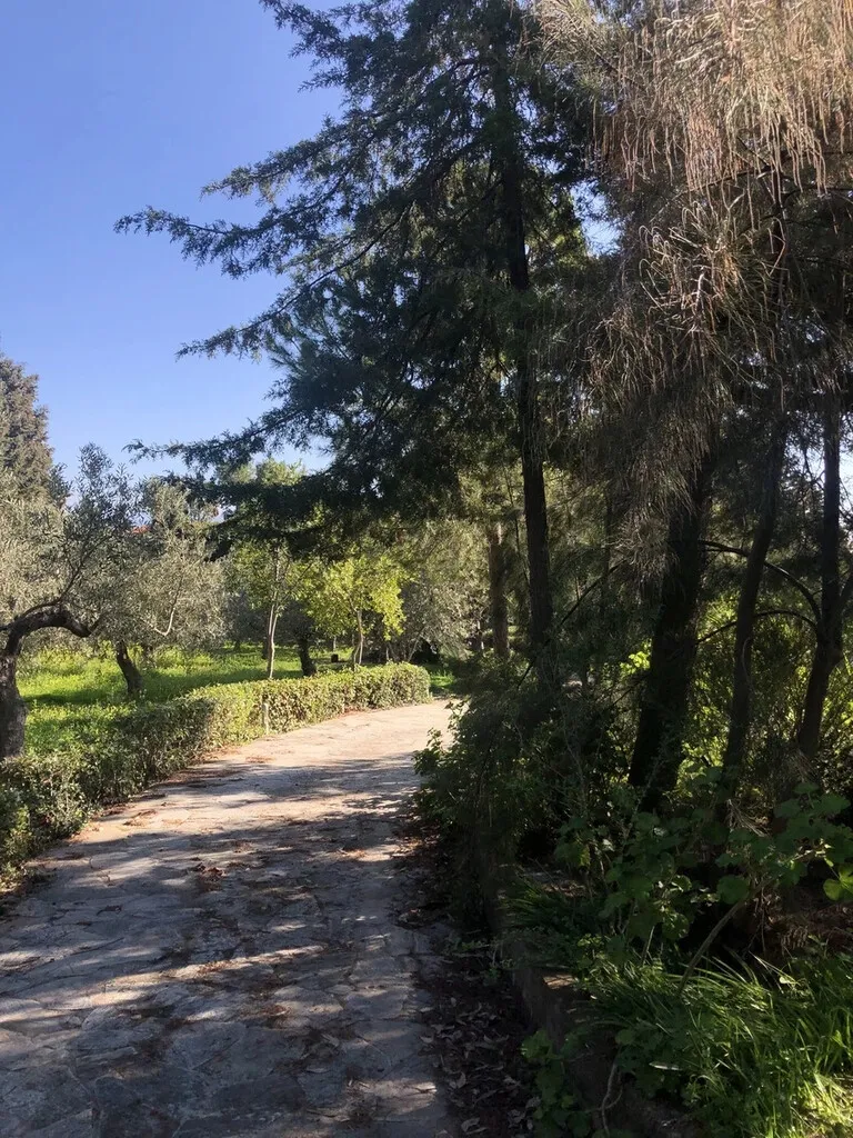 μονοκατοικία προς πώληση 411 τ.μ Αυλίδα Εύβοια