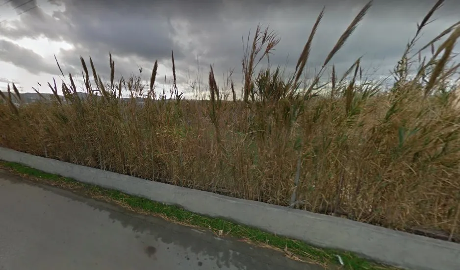 γη προς πώληση 4160 τ.μ Νάξος Κυκλάδες