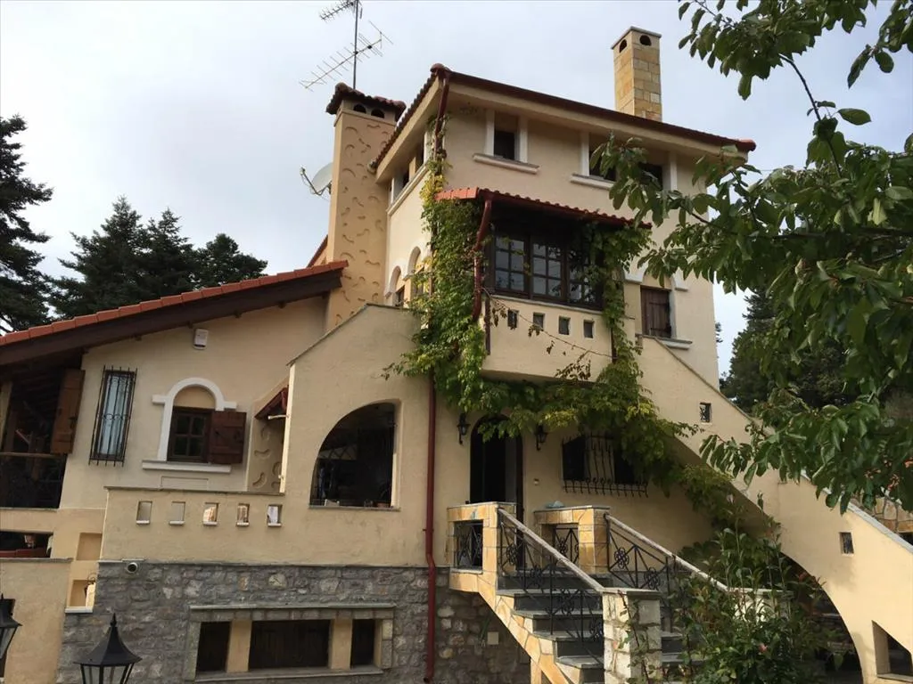 επιχείρηση προς πώληση 234 τ.μ Αράχωβα Βοιωτία