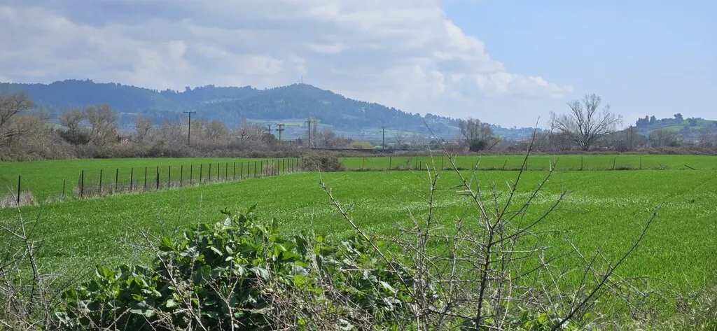 γη προς πώληση 4625 τ.μ Κασσάνδρα Χαλκιδική