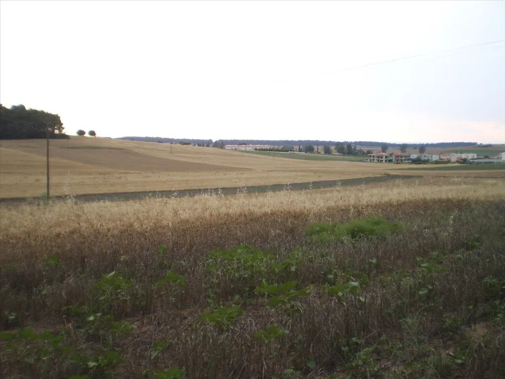 γη προς πώληση 4370 τ.μ Κασσάνδρα Χαλκιδική