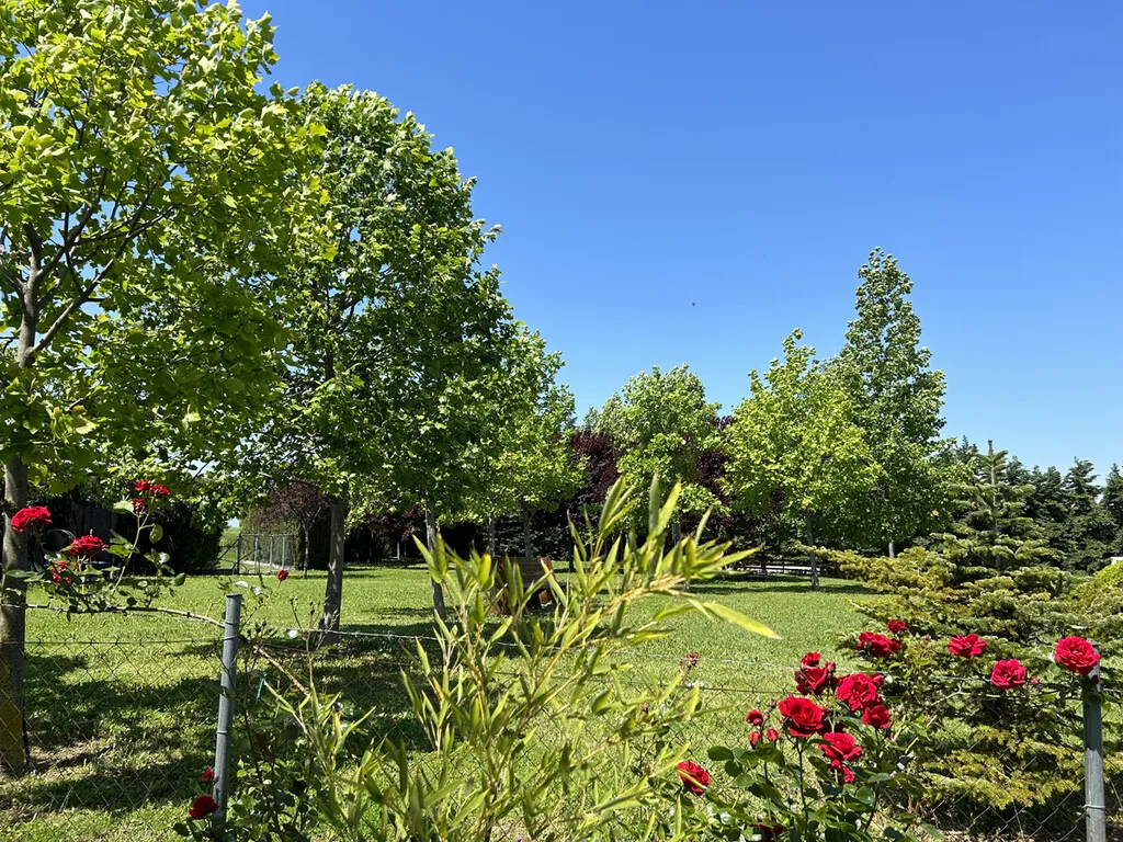 γη προς πώληση 14825 τ.μ Πύδνα Νομός Πιερίας