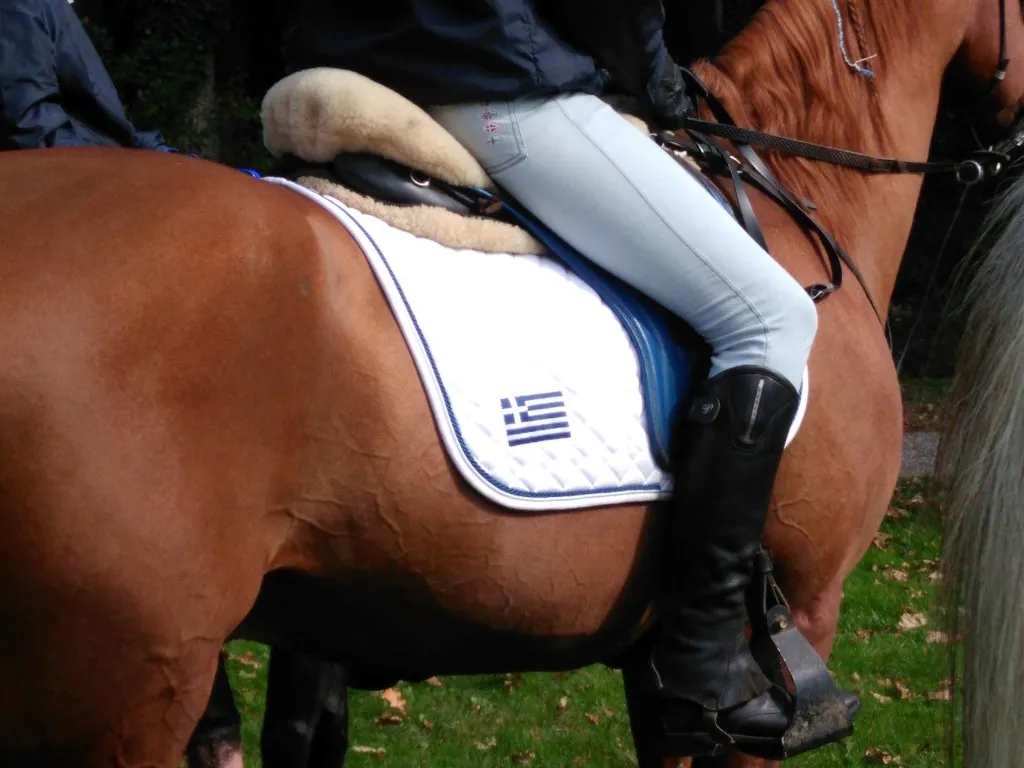 επιχείρηση προς πώληση 1600 τ.μ Κιλκίς Νομός Κιλκίς