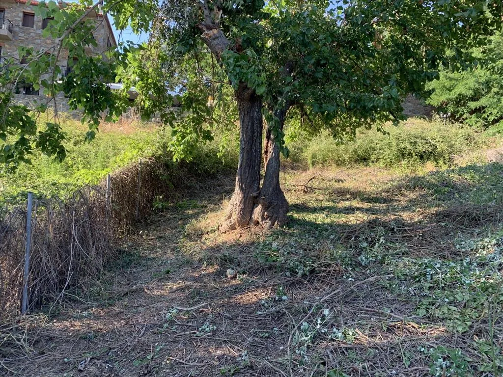 γη προς πώληση 300 τ.μ Σιθωνία Χαλκιδική