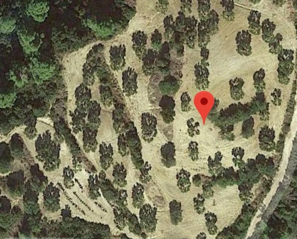 γη προς πώληση 10000 τ.μ Κασσάνδρα Χαλκιδική