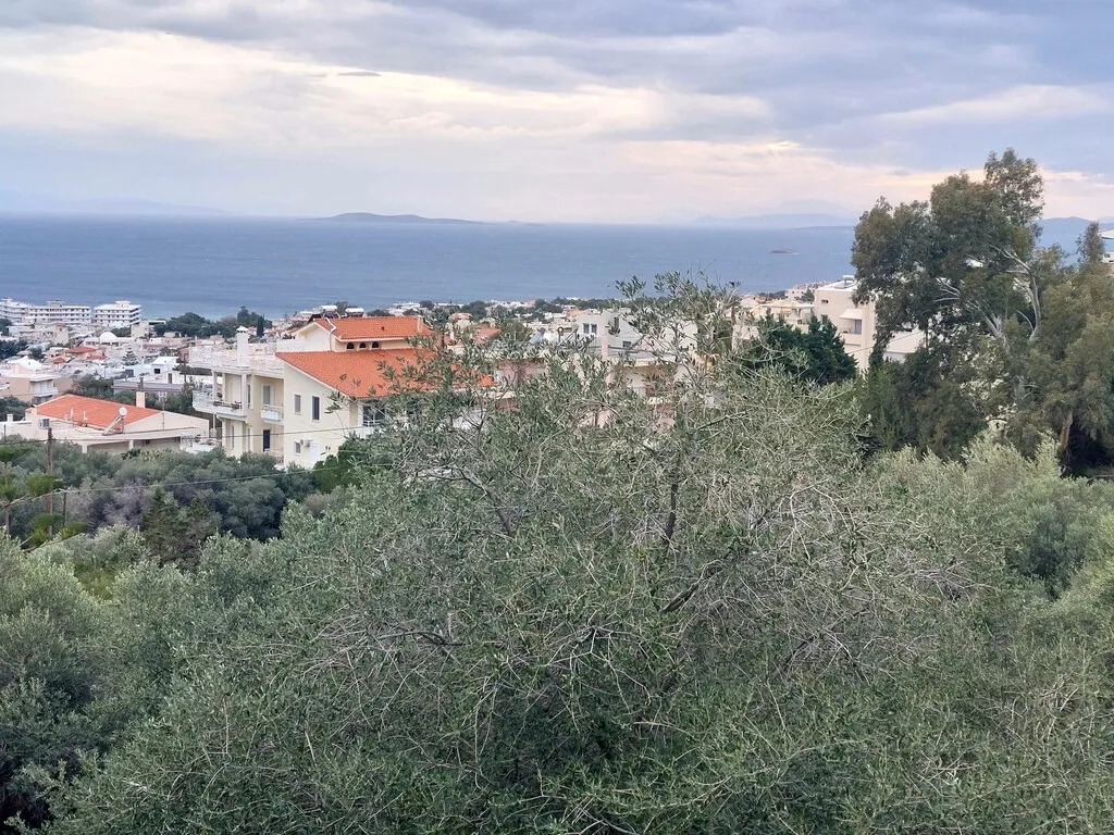 γη προς πώληση 750 τ.μ Σαρωνίδα Υπόλοιπη Αττικής