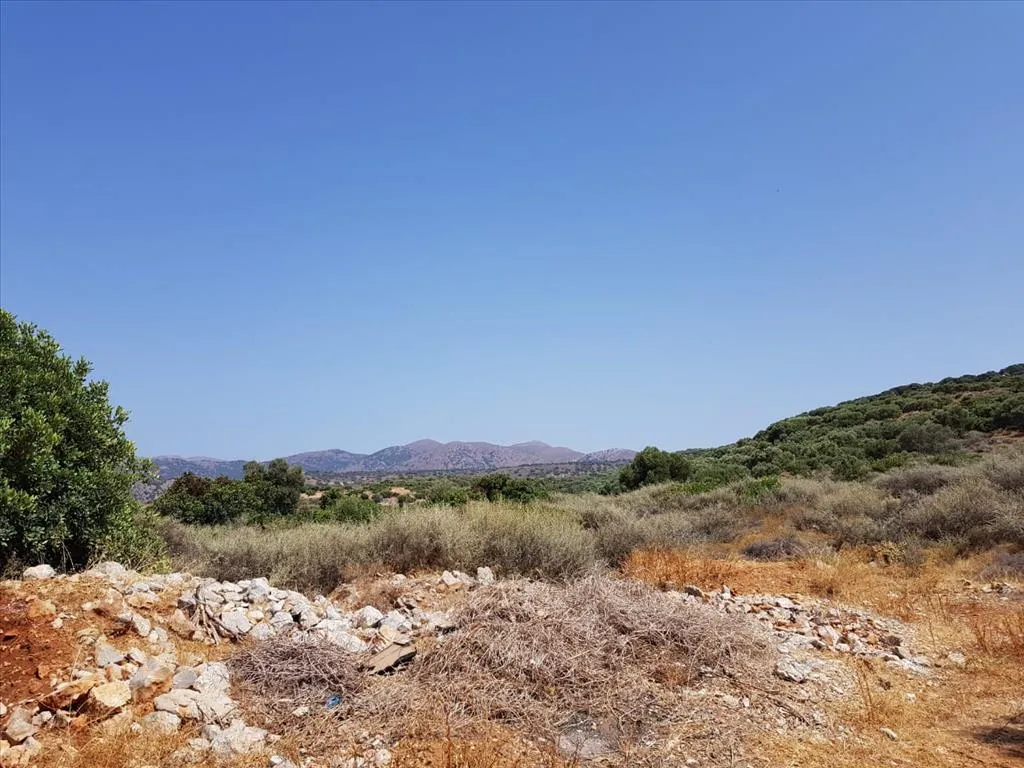 γη προς πώληση 3000 τ.μ Νεάπολη Νομός Λασιθίου