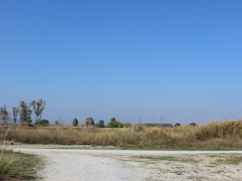 γη προς πώληση 20000 τ.μ Λιτόχωρο Νομός Πιερίας