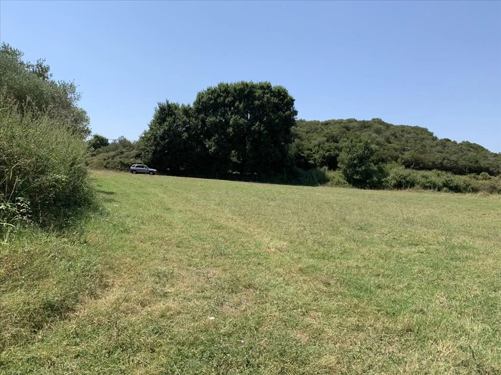 γη προς πώληση 6312 τ.μ Αριστοτέλης Χαλκιδική