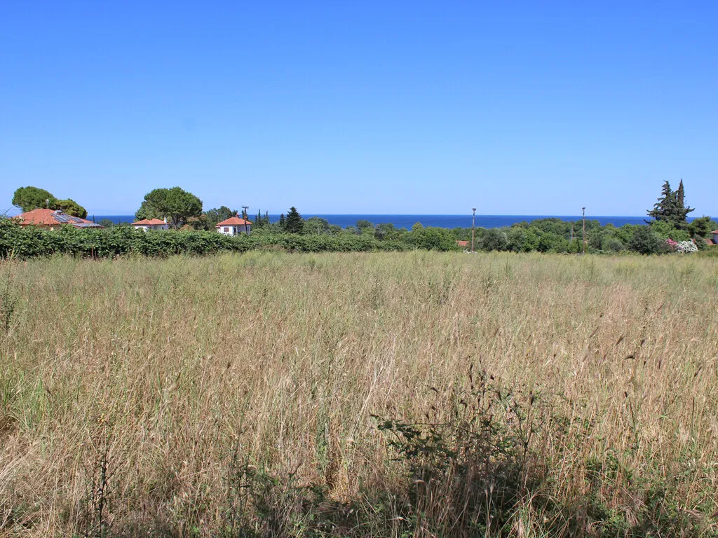 γη προς πώληση 5000 τ.μ Ανατολικός Όλυμπος Νομός Πιερίας