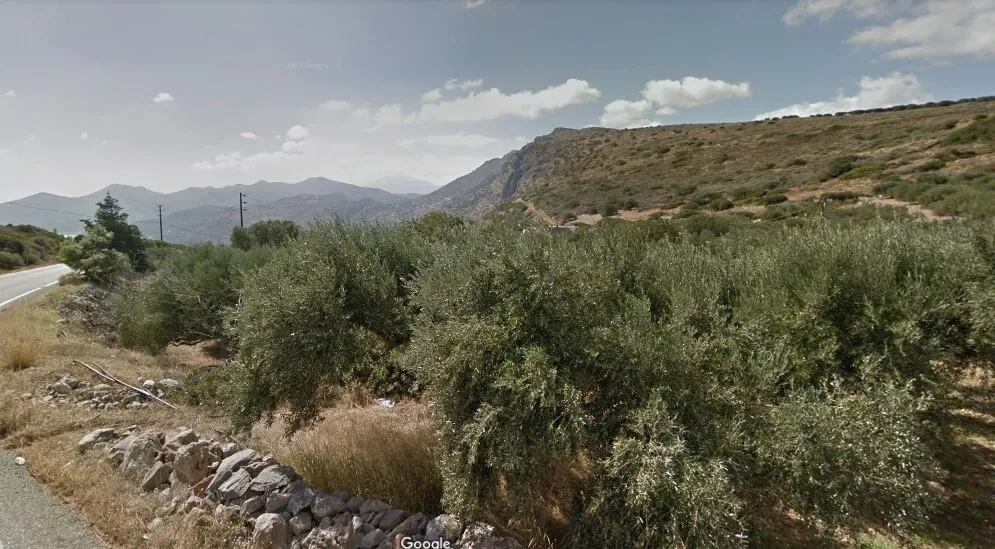 γη προς πώληση 3137 τ.μ Άγιος Νικόλαος Νομός Λασιθίου