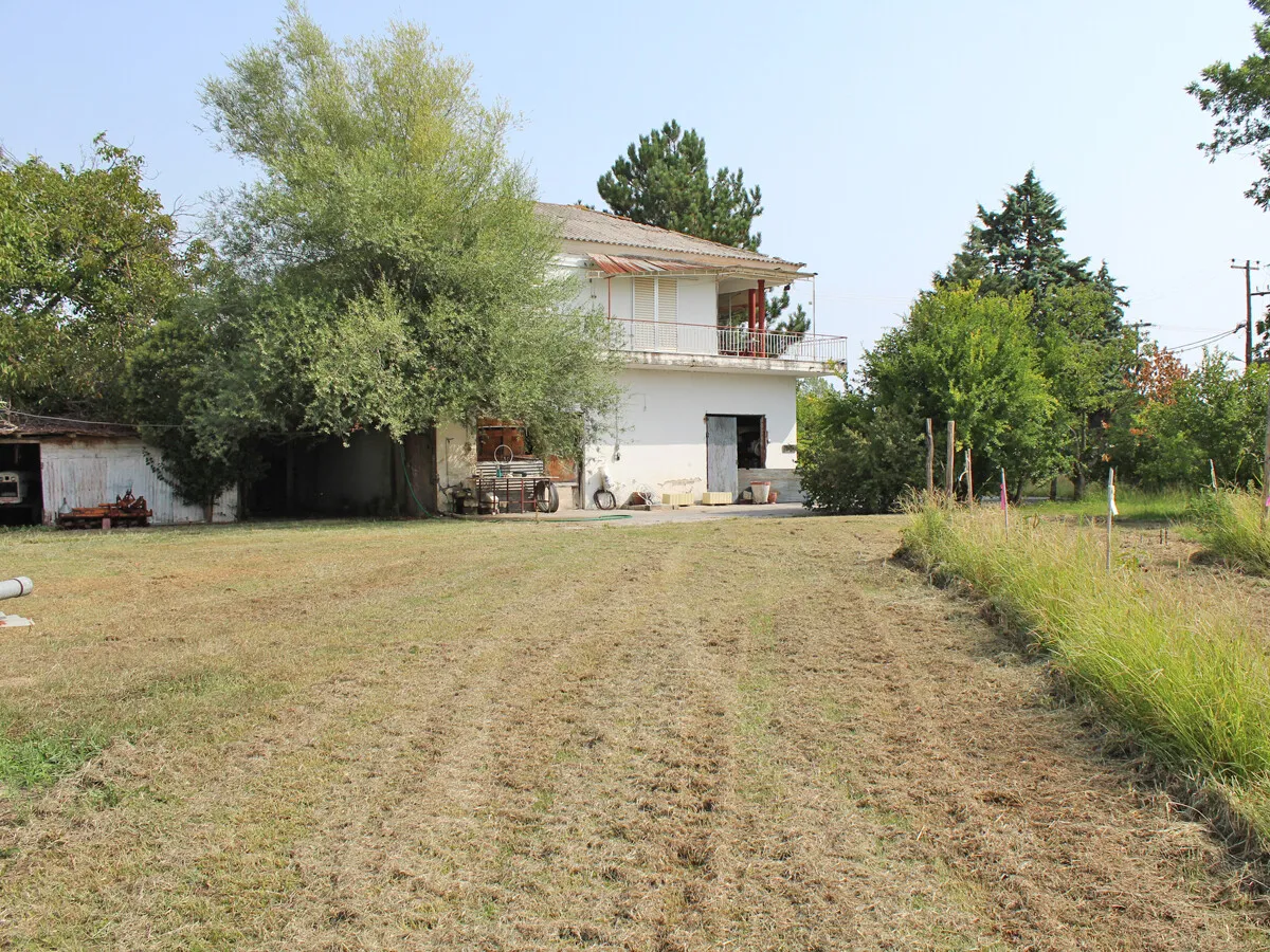 μονοκατοικία προς πώληση 180 τ.μ Κατερίνη Νομός Πιερίας