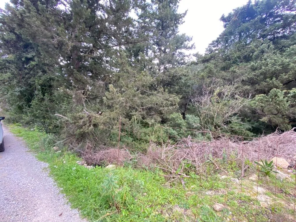 γη προς πώληση 4010 τ.μ Αρμένοι Νομός Χανίων