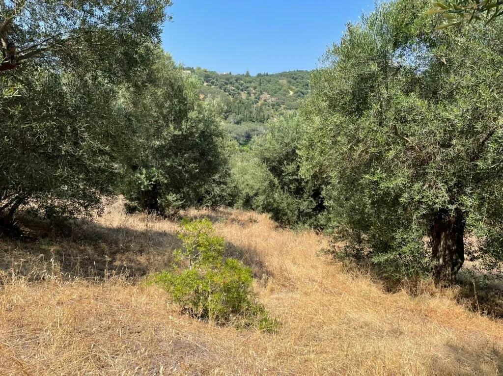 γη προς πώληση 5200 τ.μ Κέρκυρα Νομός Κέρκυρας