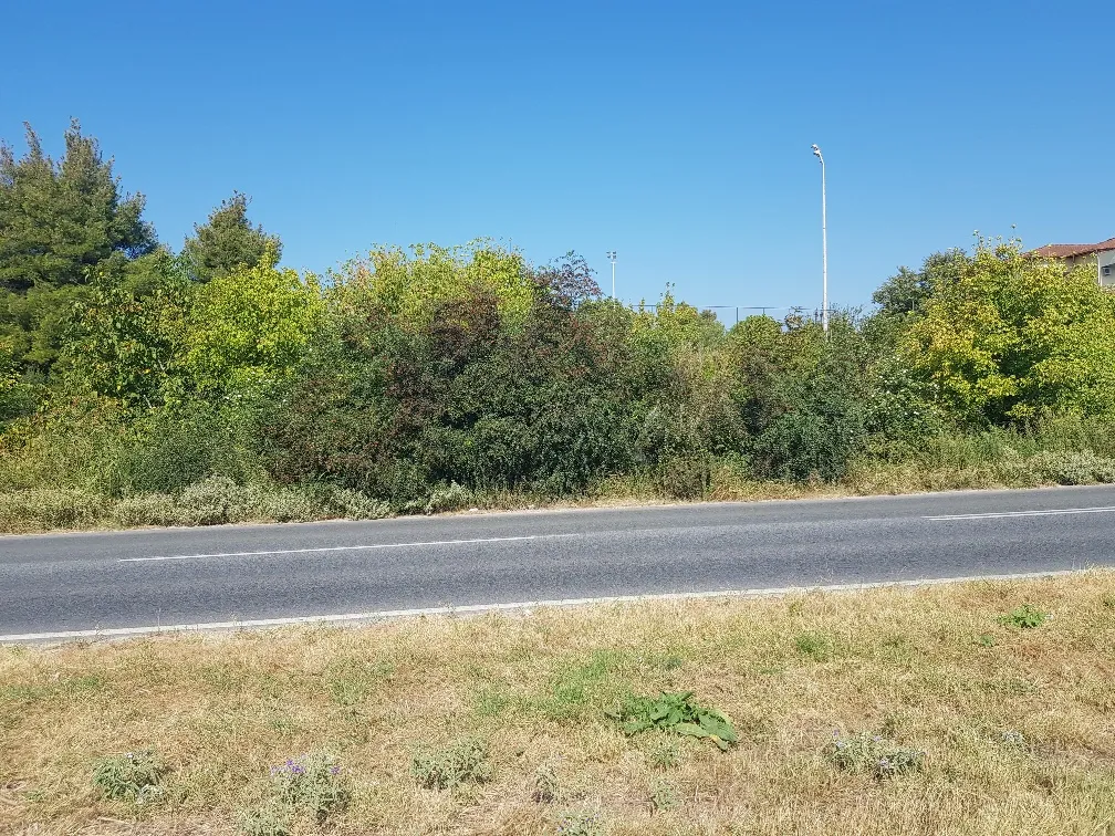 γη προς πώληση 1500 τ.μ Κασσάνδρα Χαλκιδική