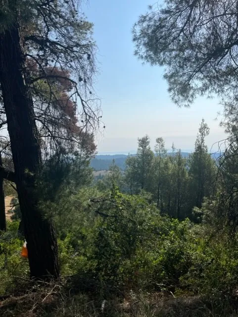 γη προς πώληση 13886 τ.μ Κασσάνδρα Χαλκιδική