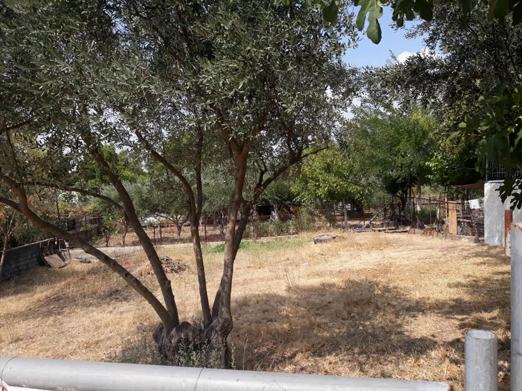 γη προς πώληση 374 τ.μ Μελίσσια Βόρεια Αθήνας