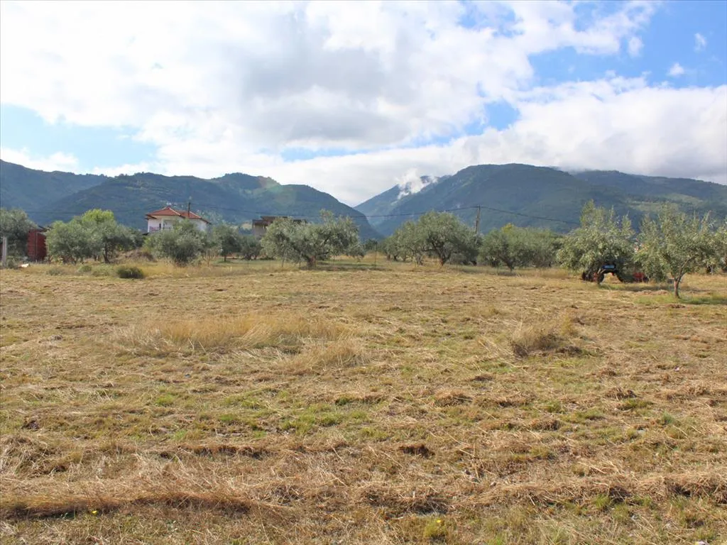 γη προς πώληση 10300 τ.μ Ανατολικός Όλυμπος Νομός Πιερίας