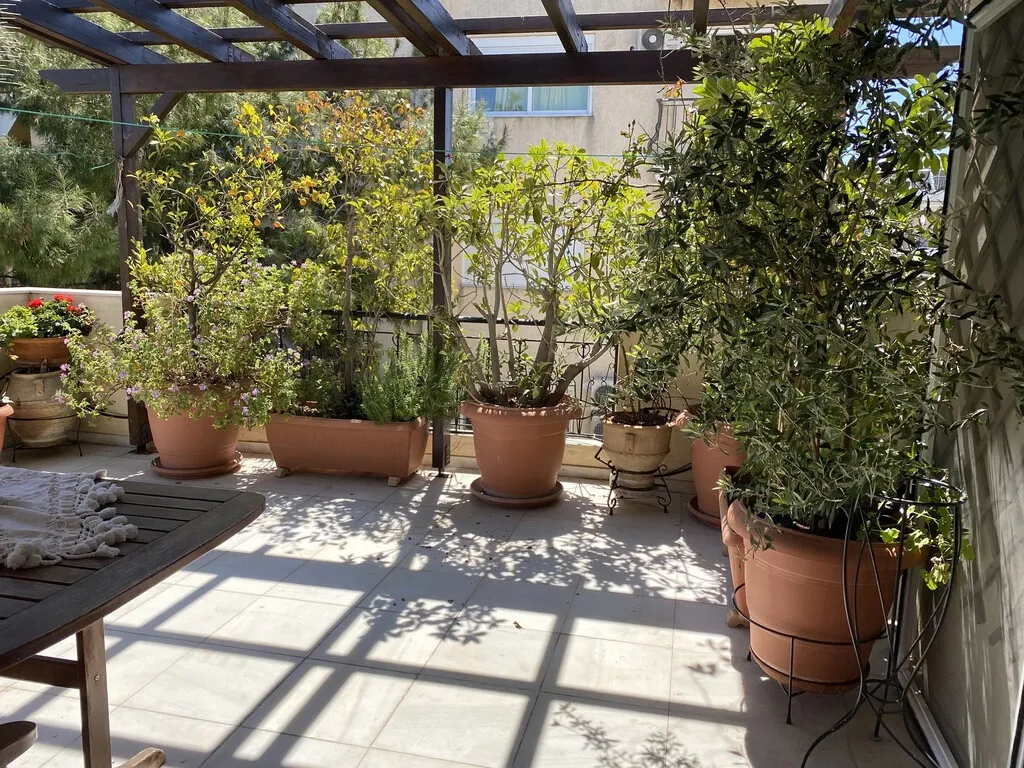 μεζονέτα προς πώληση 174 τ.μ Μοσχάτο Προάστια Πειραιά