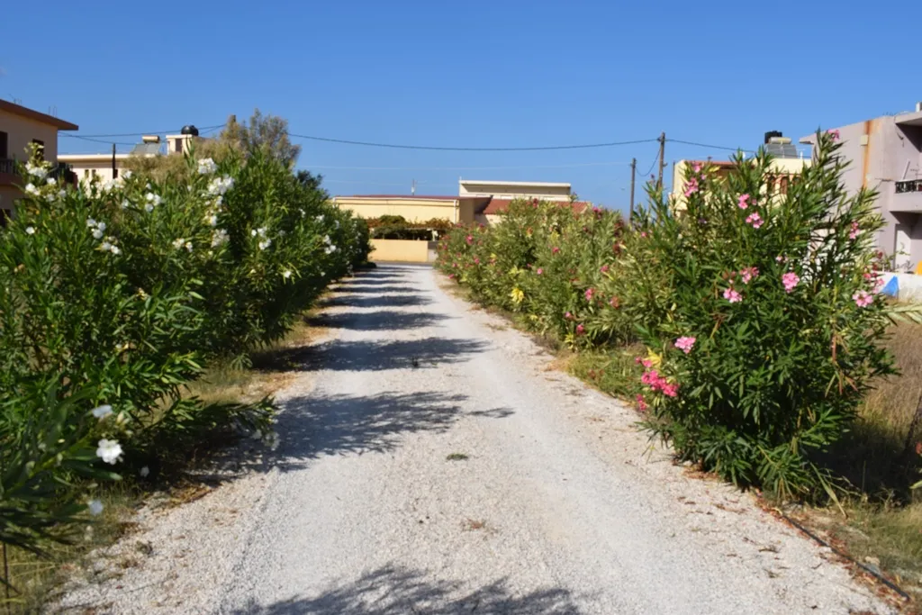 γη προς πώληση 500 τ.μ Κίσσαμος Νομός Χανίων
