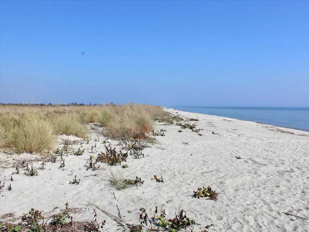 γη προς πώληση 10000 τ.μ Λιτόχωρο Νομός Πιερίας