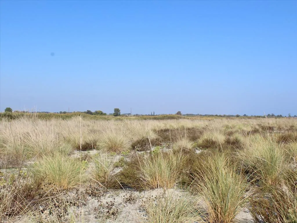 γη προς πώληση 10000 τ.μ Λιτόχωρο Νομός Πιερίας