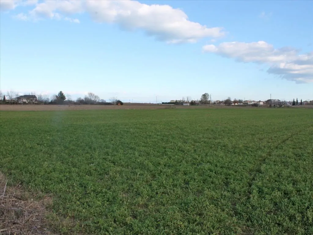 γη προς πώληση 17000 τ.μ Παραλία Νομός Πιερίας