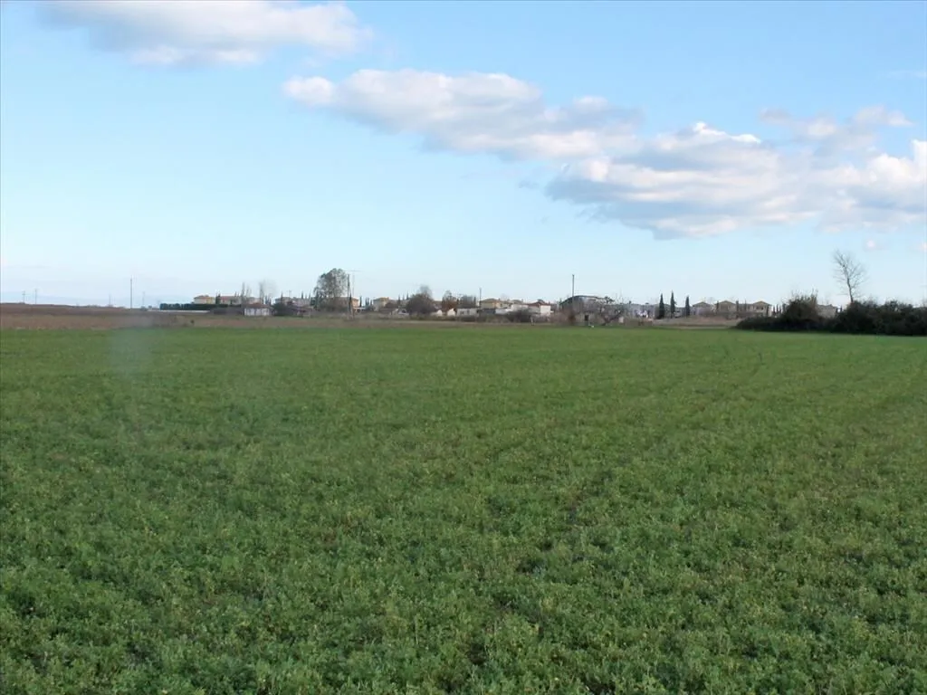 γη προς πώληση 17000 τ.μ Παραλία Νομός Πιερίας