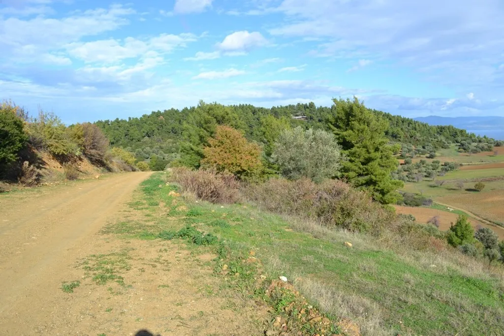 γη προς πώληση 5100 τ.μ Κασσάνδρα Χαλκιδική