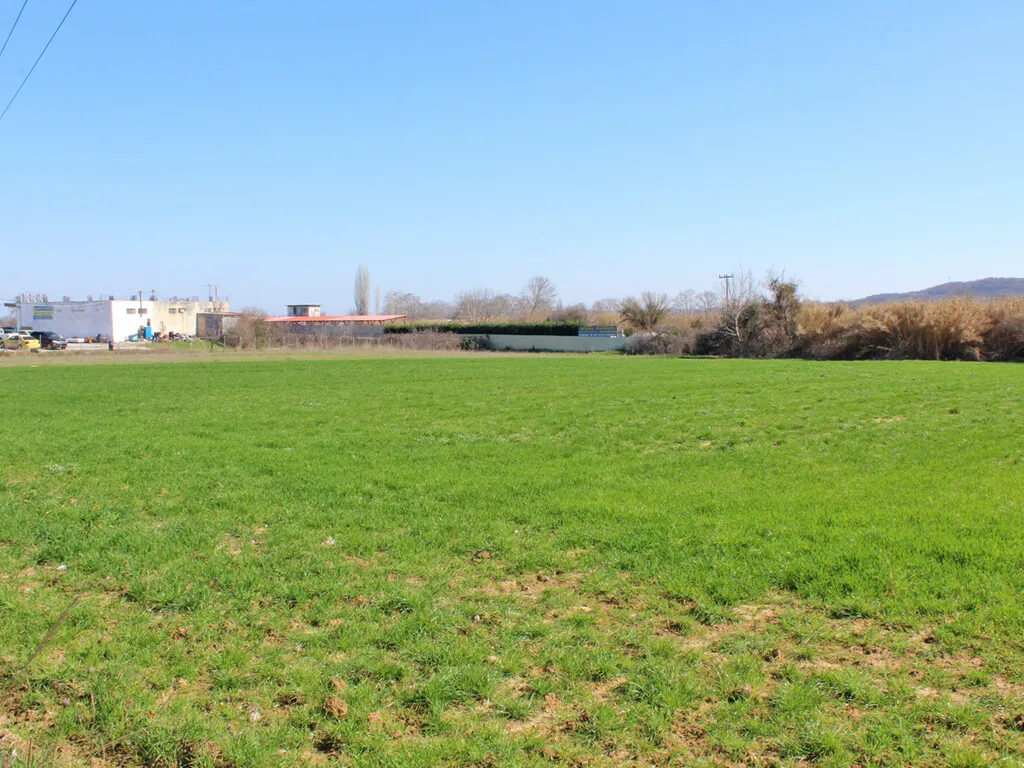 γη προς πώληση 3400 τ.μ Κατερίνη Νομός Πιερίας