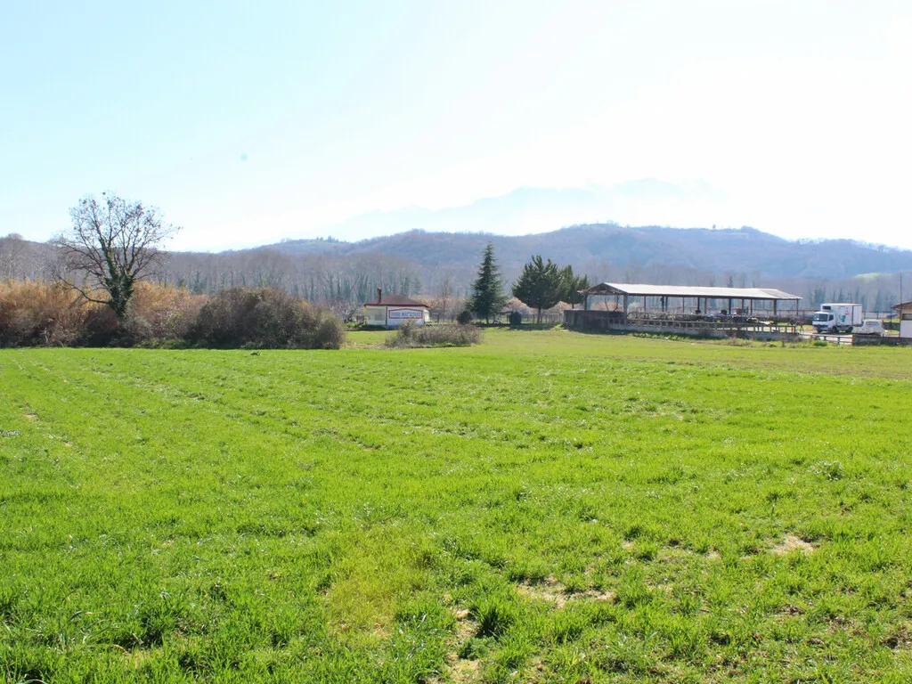 γη προς πώληση 6800 τ.μ Κατερίνη Νομός Πιερίας