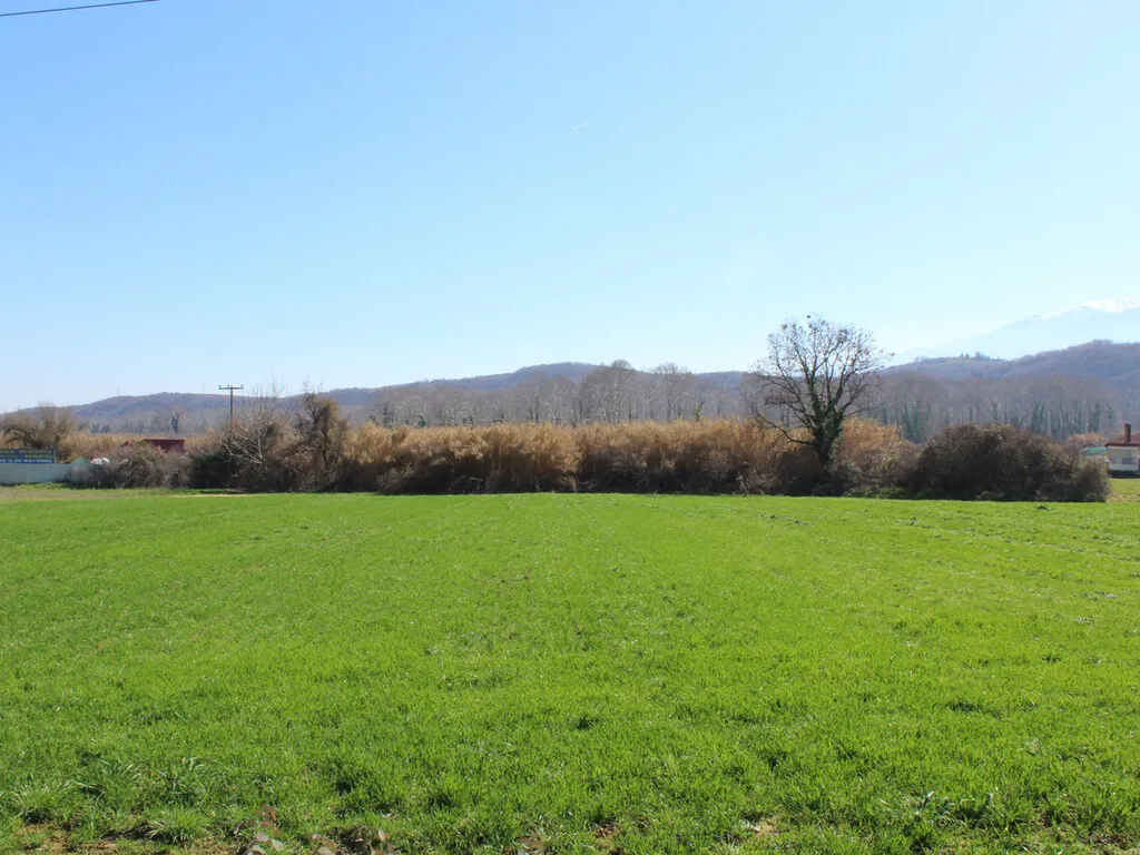 γη προς πώληση 6800 τ.μ Κατερίνη Νομός Πιερίας