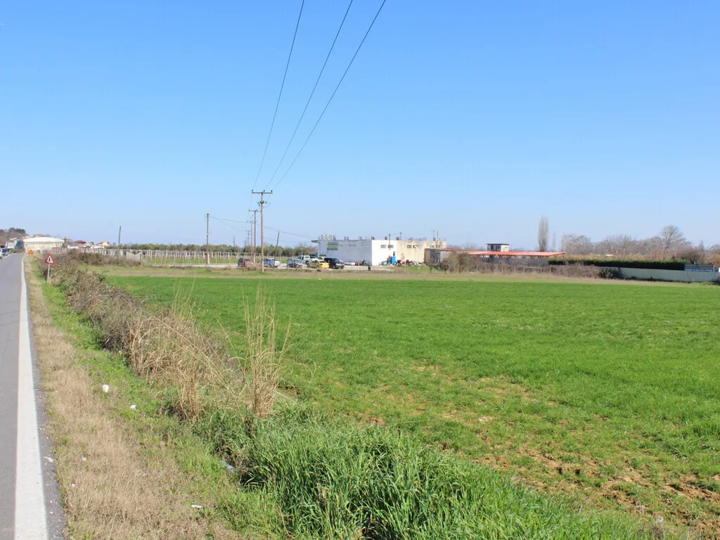 γη προς πώληση 6800 τ.μ Κατερίνη Νομός Πιερίας