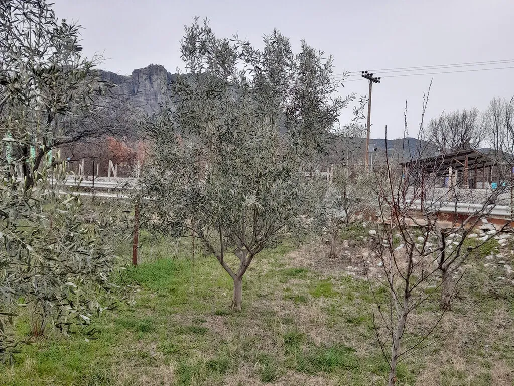 γη προς πώληση 180 τ.μ Καλαμπάκα Νομός Τρικάλων