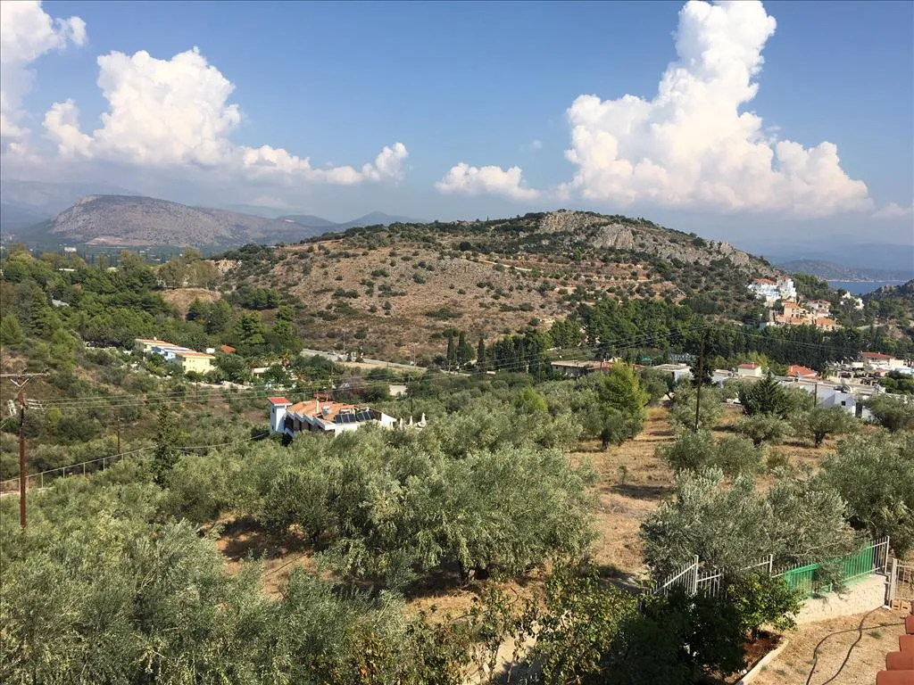 γη προς πώληση 4751 τ.μ Ασίνη Αργολίδα