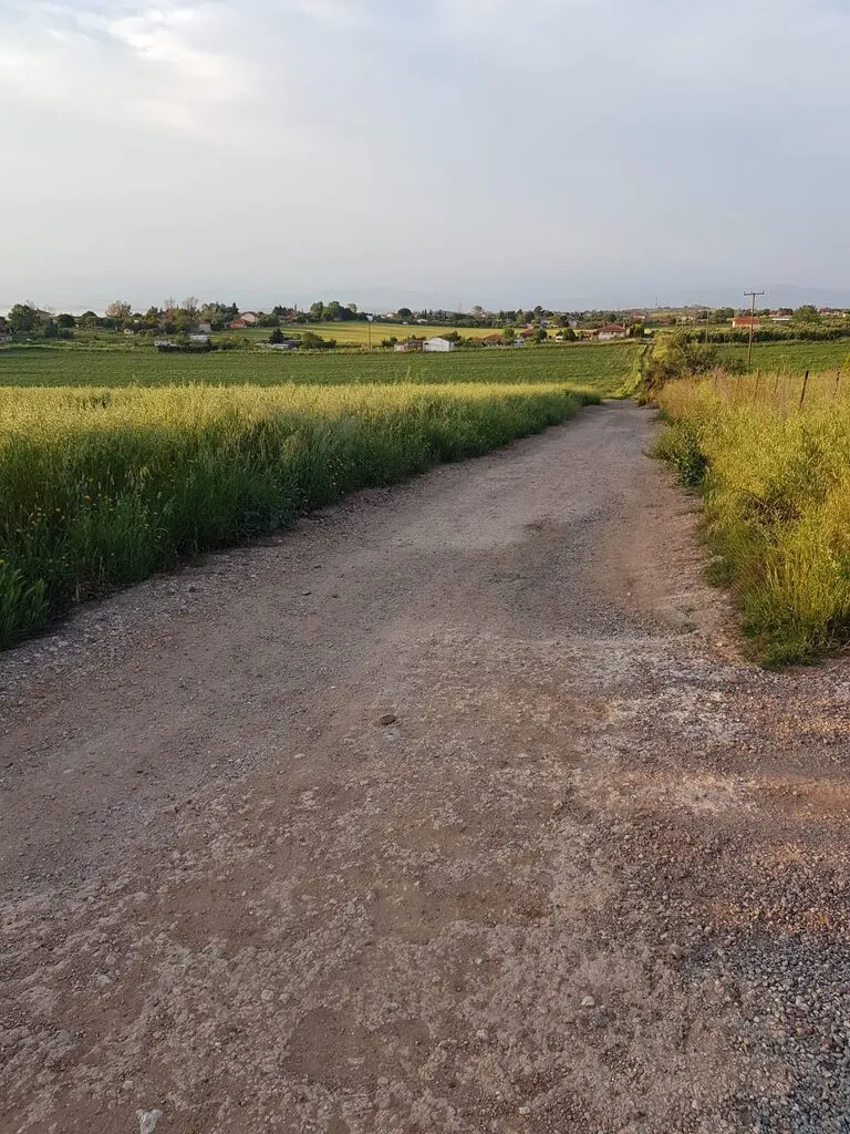 γη προς πώληση 4980 τ.μ Κασσάνδρα Χαλκιδική