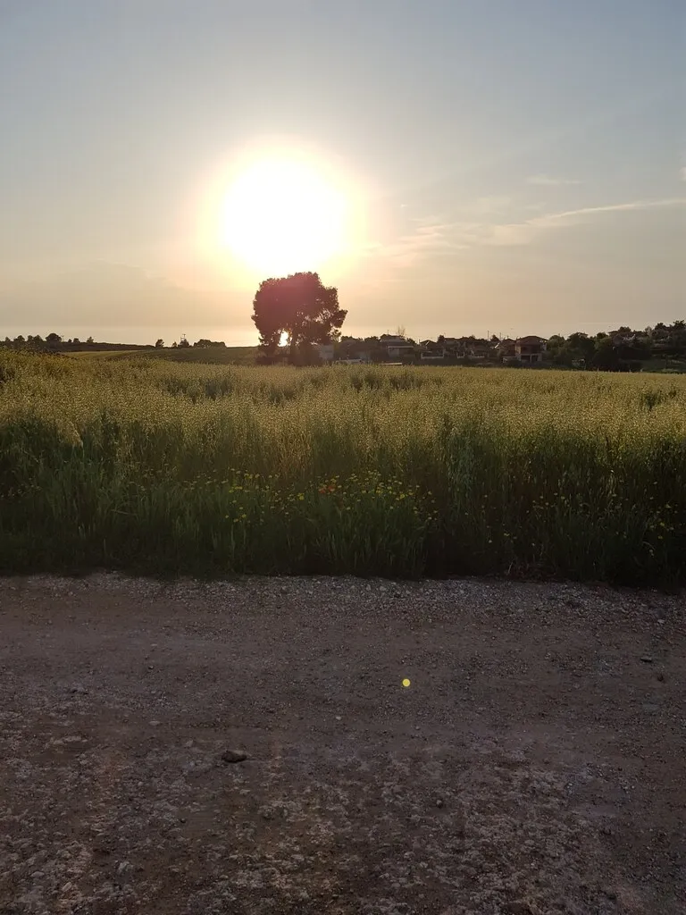 γη προς πώληση 4980 τ.μ Κασσάνδρα Χαλκιδική