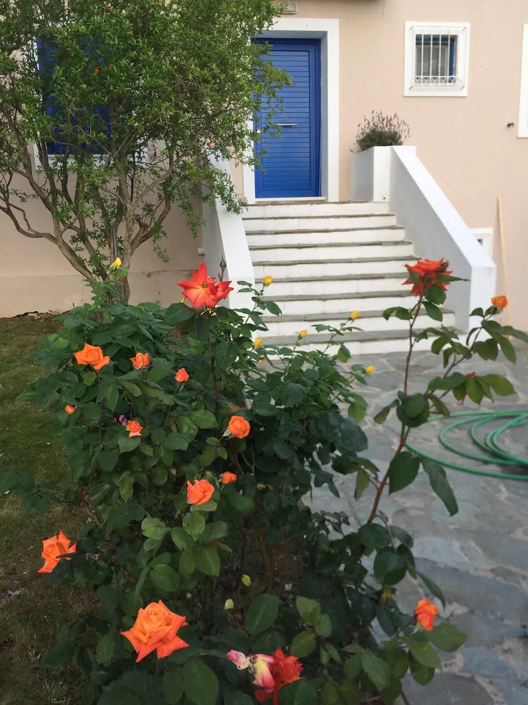 μονοκατοικία προς πώληση 151 τ.μ Μαραθώνας Ανατολικά Αθήνας