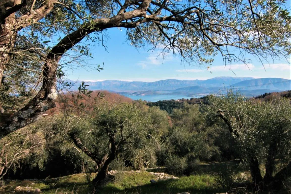 γη προς πώληση 6000 τ.μ Κέρκυρα Νομός Κέρκυρας