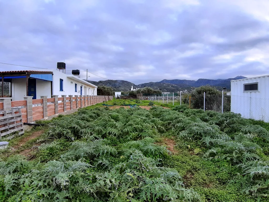 γη προς πώληση 700 τ.μ Νεάπολη Νομός Λασιθίου