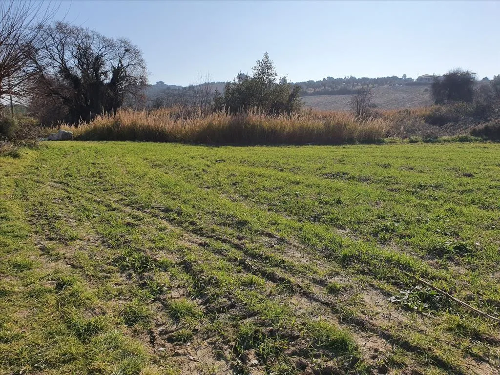 γη προς πώληση 4000 τ.μ Κασσάνδρα Χαλκιδική