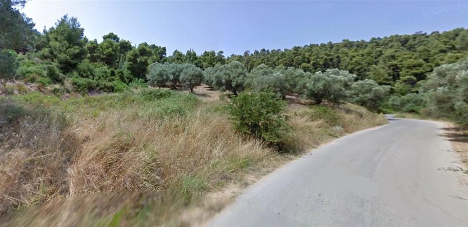 γη προς πώληση 4157 τ.μ Κασσάνδρα Χαλκιδική