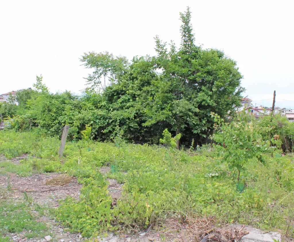 γη προς πώληση 400 τ.μ Κατερίνη Νομός Πιερίας