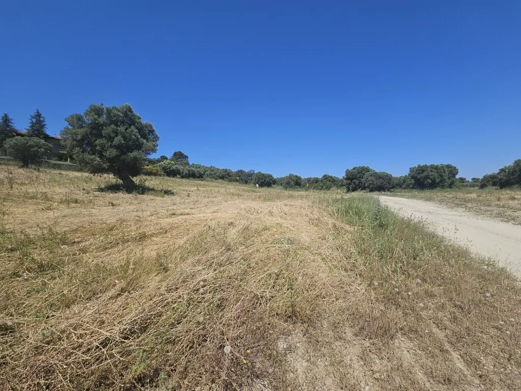γη προς πώληση 5800 τ.μ Κασσάνδρα Χαλκιδική