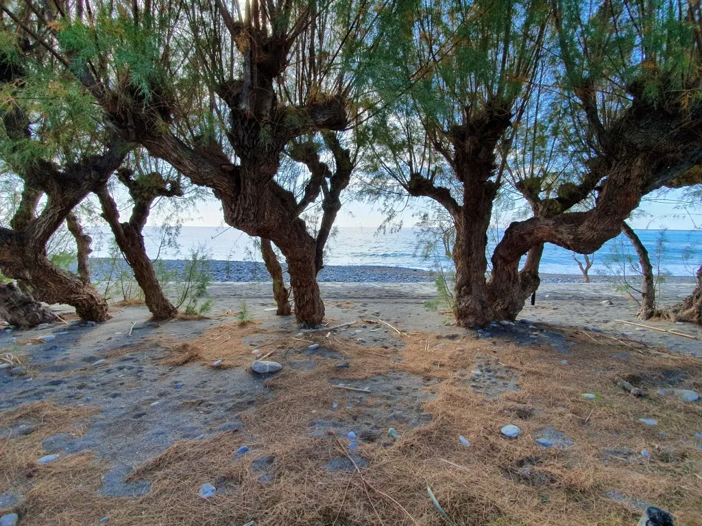 επιχείρηση προς πώληση 299 τ.μ Μακρύς Γιαλός Νομός Λασιθίου